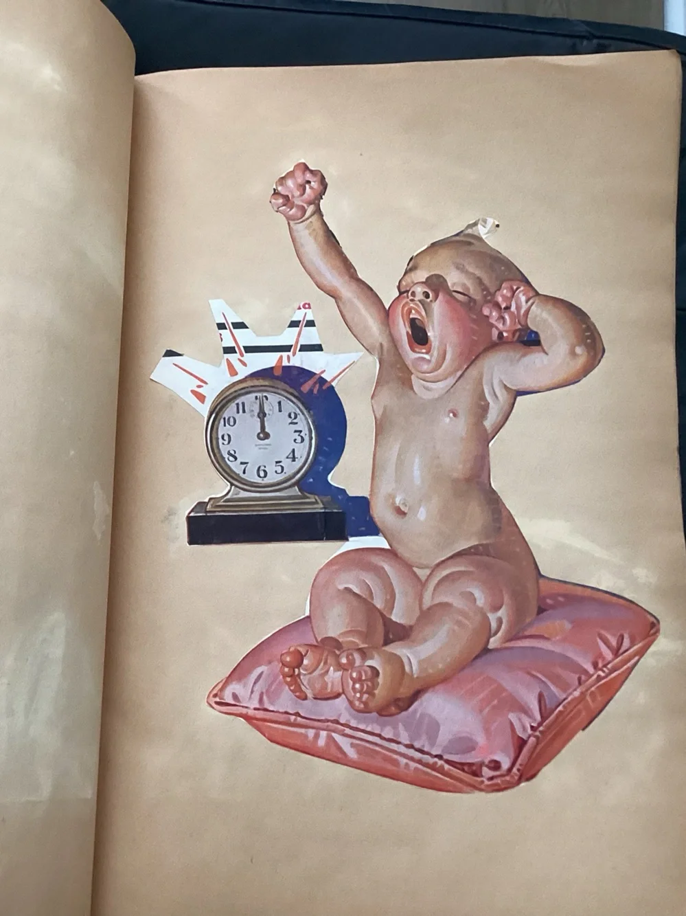 Antique published in 1929 SCRAPBOOK with animal Illustrations